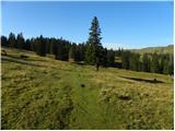 Za Ušivcem - Gradišče (Velika planina)